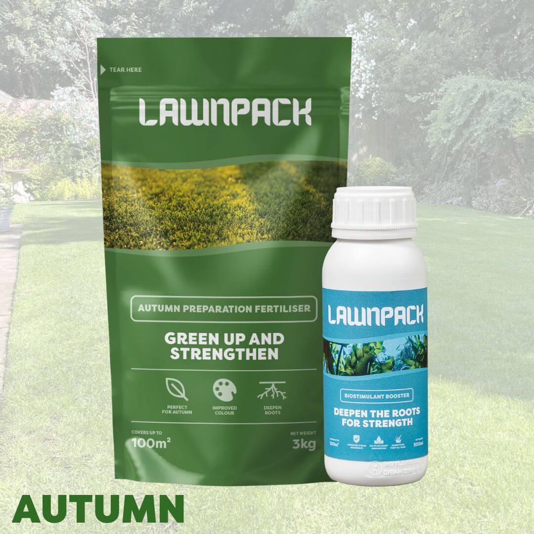 Seasonal Pack Subscription