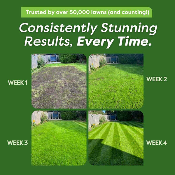 The Lawn Pack